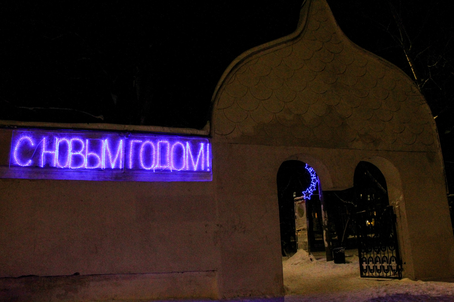 Портфолио № 203