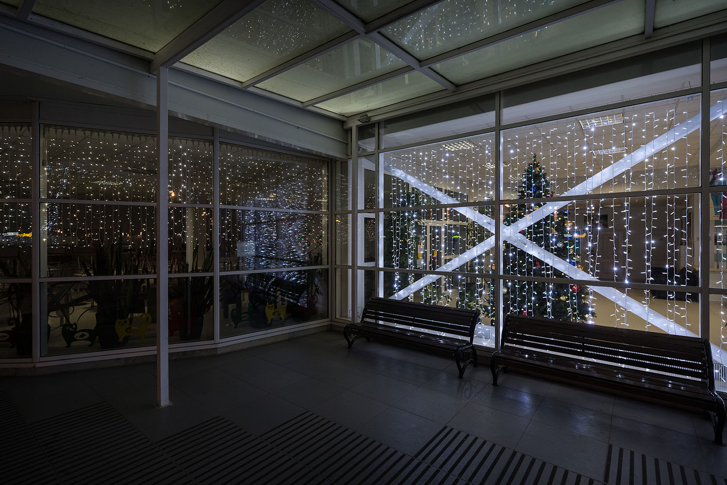 Портфолио № 137