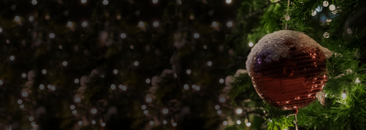 SERLIGHT